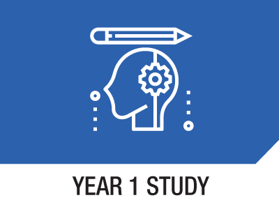 Year 1 Study